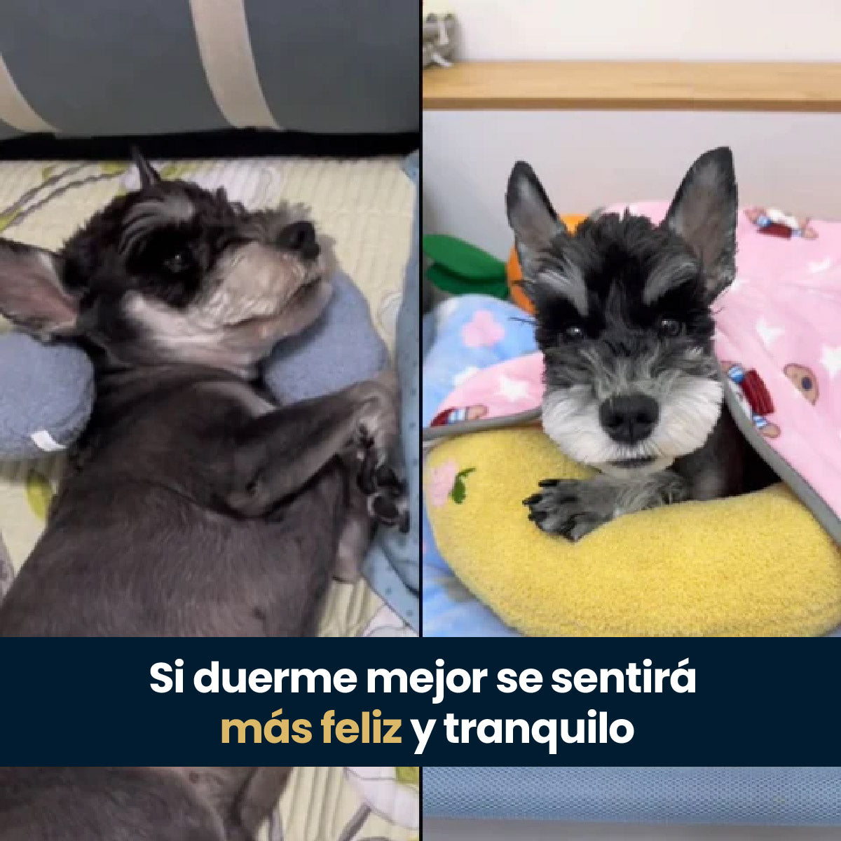 Almohada Calmante para Mascotas - PetRelax™ 😸🐶