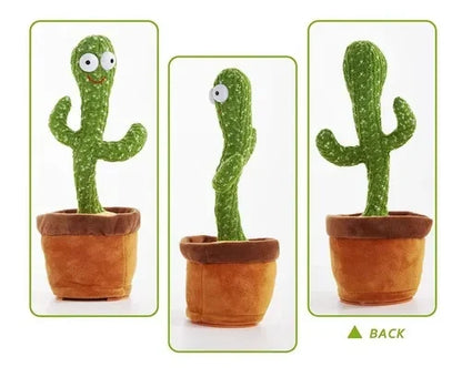 Cactus Bailarín