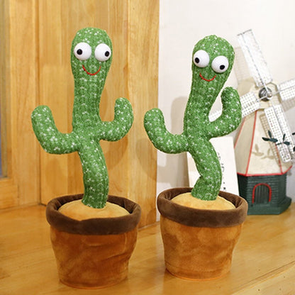 Cactus Bailarín